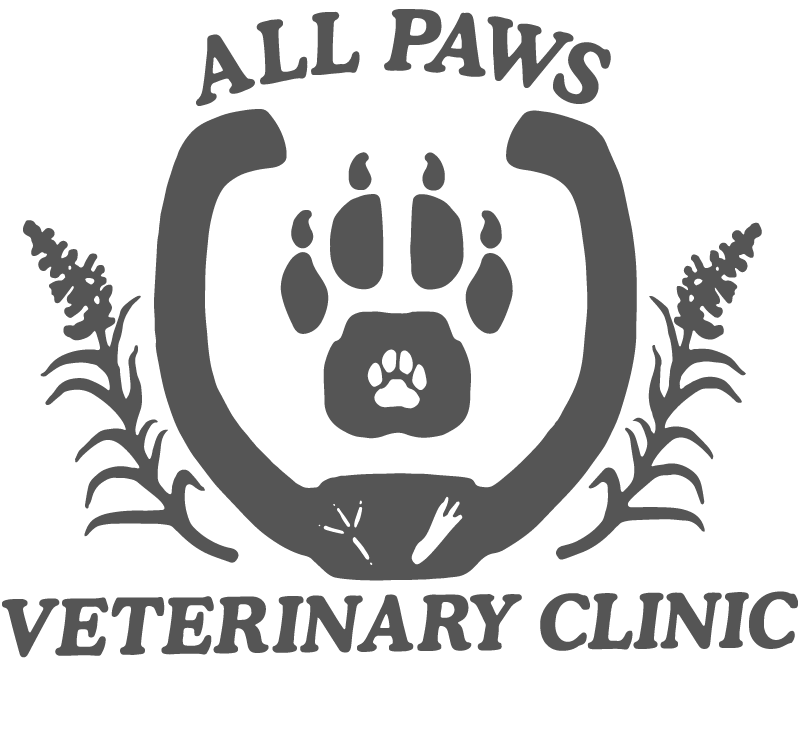 All Paws Veterinary Clinic
