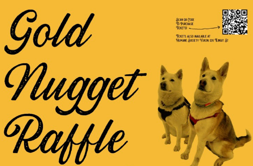 Gold Nugget Raffle